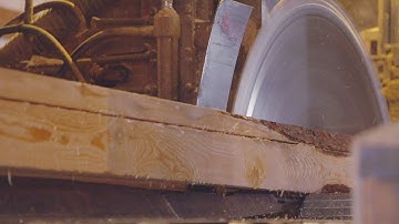 Sawmill Makes the Cut