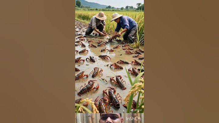 This is the life of rural people#The joy of catching fish #fish #shorts #ai image  #চিংড়ি
