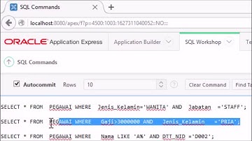 Tutorial - Cara Menggunakan Oracle Data Modeler dan APEX (How to use Oracle SQL Developer)