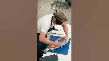 Gordon Cuts Tuna Whilst BLINDFOLDED