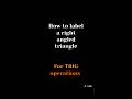 How to label a right angled triangle For TRIG operations
