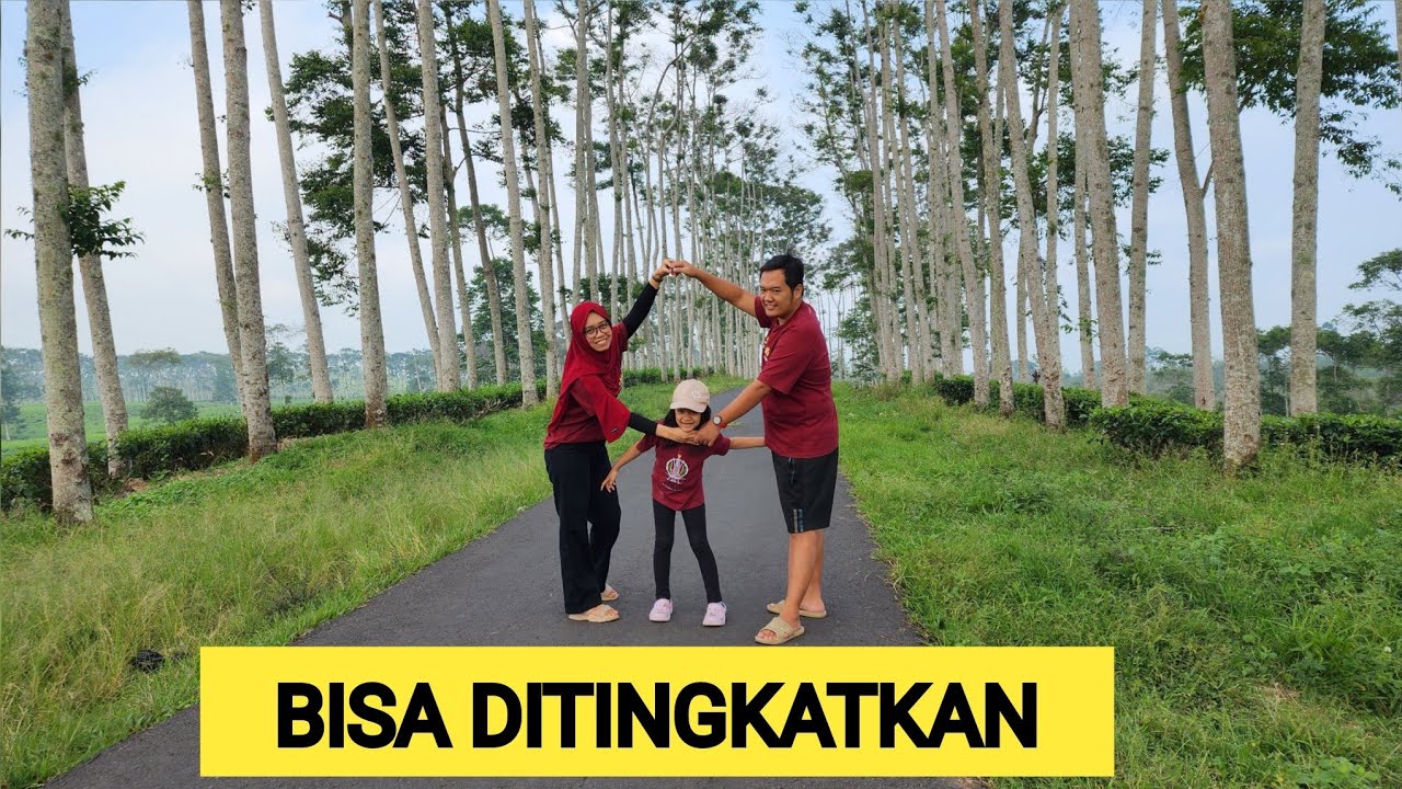 Kebun Teh Kabawetan Kepahiang, Bengkulu