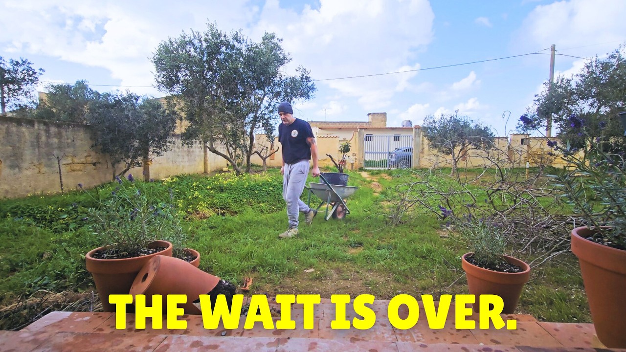 (65) Major Turning Point in My Sicily Villa Renovation | Windows Next!