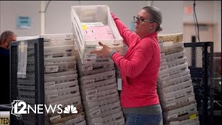 Watch live: Maricopa County's latest ballot drop at 6:30 p.m. Nov. 9