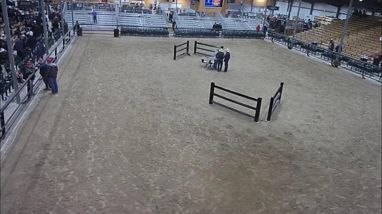 Topeka Livestock Auction Live Stream YouTube topeka-livestock-auction-live-stream-youtube