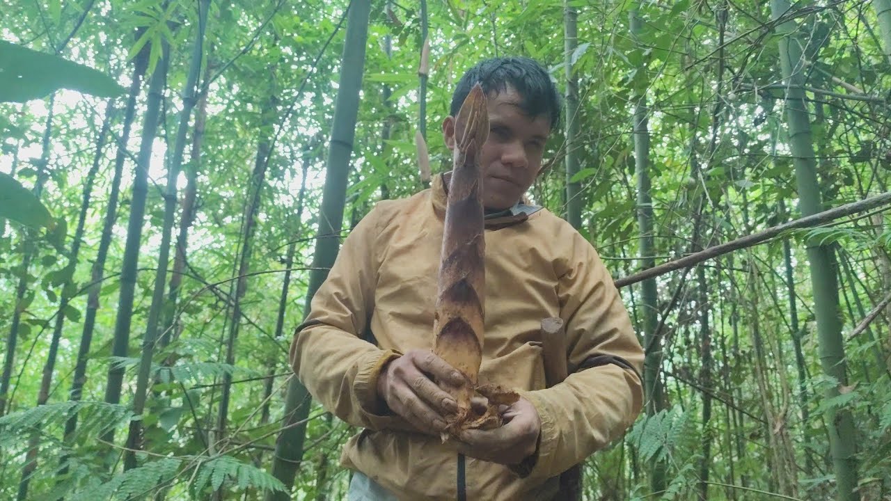 Ngằn năm chải nhiệm một lần bất ngờ mù rẫn người sáng mắt vào rừng tìm mang  ll vượt khó tây bắc 