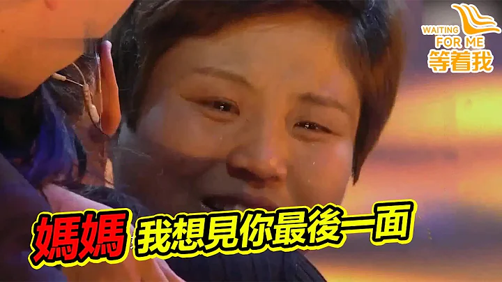 女孩尿毒症晚期坚持带病上台 只为见妈妈最后一面 全场泪目！《等着我》精编版 - 天天要闻