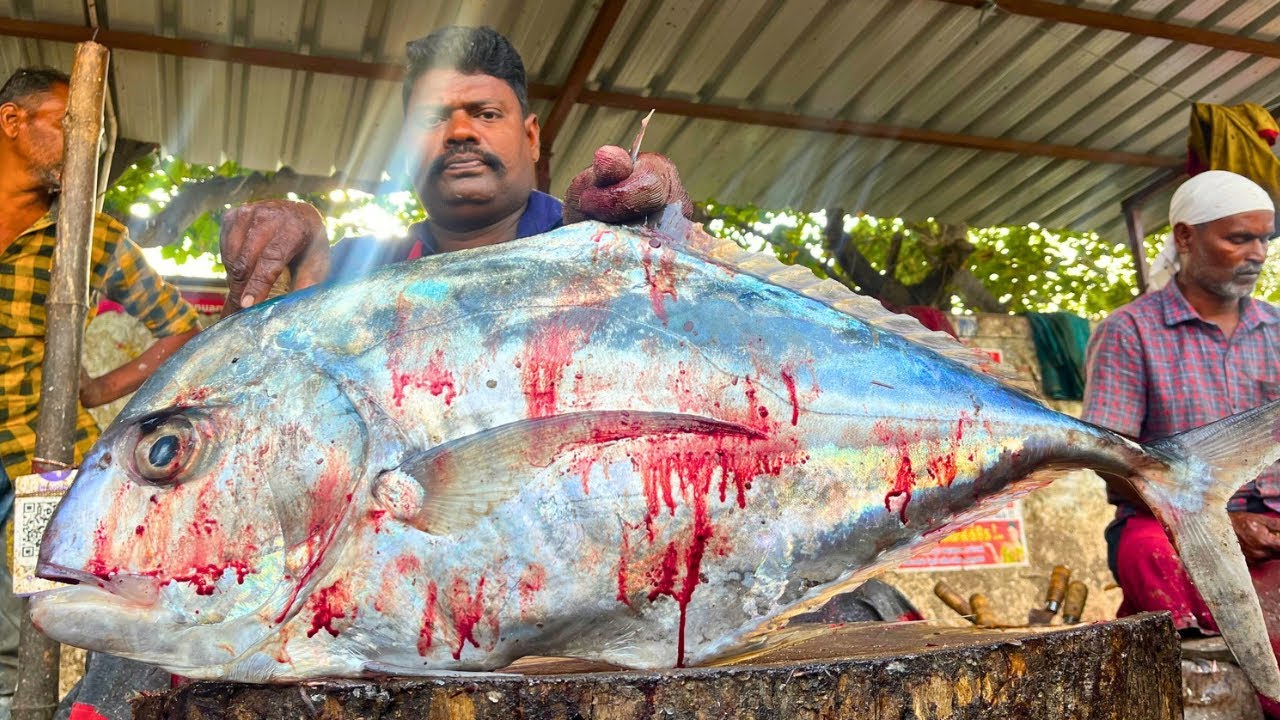 KASIMEDU 🔥 SPEED SELVAM | BIG DIAMOND TREVALLY FISH CUTTING VIDEO | FF CUTTING 🔪