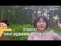 정동원길 수국정원 저는 수국이 이렇게 다른 모습으로 다양한 모습으로 피는 줄 몰랐어요