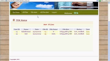 Cooperative Provable Data Possession for