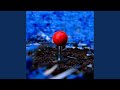 Miniature de la vidéo de la chanson El Beso