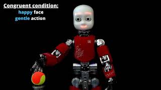 Humanoid Facial Expressions: A tool to study human behaviour