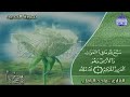 تلاوة نادرة للقارئ حمدى الزامل سورة الحديد