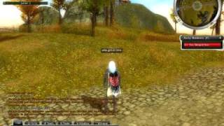 guild wars level from 1-20 glitch!!!