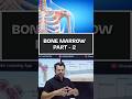 Bone Marrow part - 2 #rankplus #chandanmlt #labtechnician #labworker #labtechnicianclasses #short