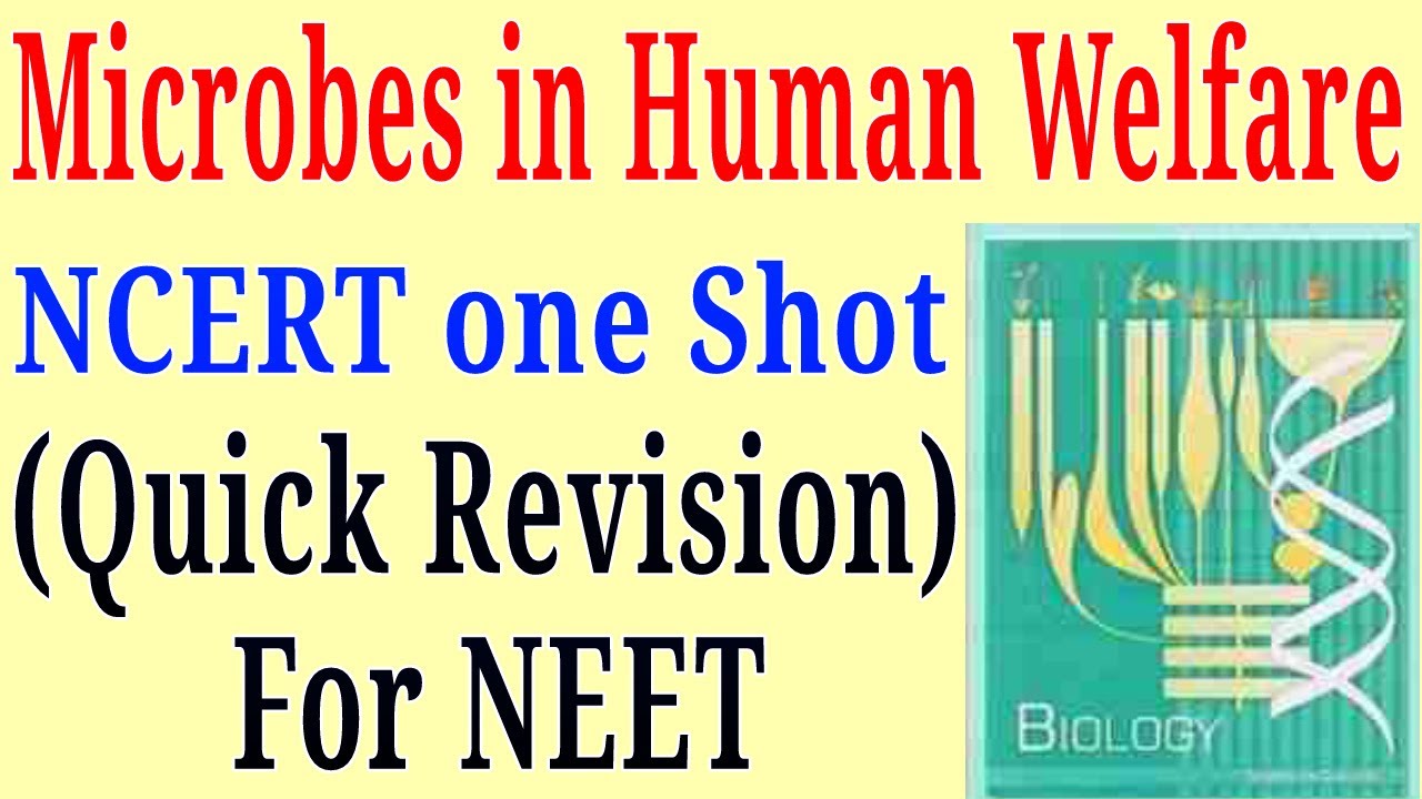 Microbes in human welfare class 12 ncert one shot for NEET exam - YouTube