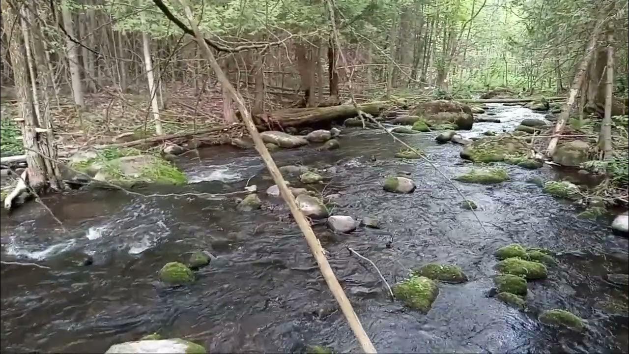 North Branch Embarrass River Recreation Area YouTube