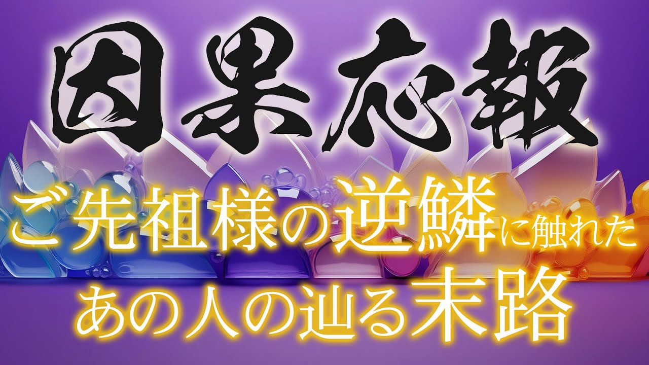 【#タロット #占い 】因果応報！ あなたのご先祖様が、あの人物にお怒りです😭一人じゃないよと伝えてくれました🌈【#運勢 #因果応報 】