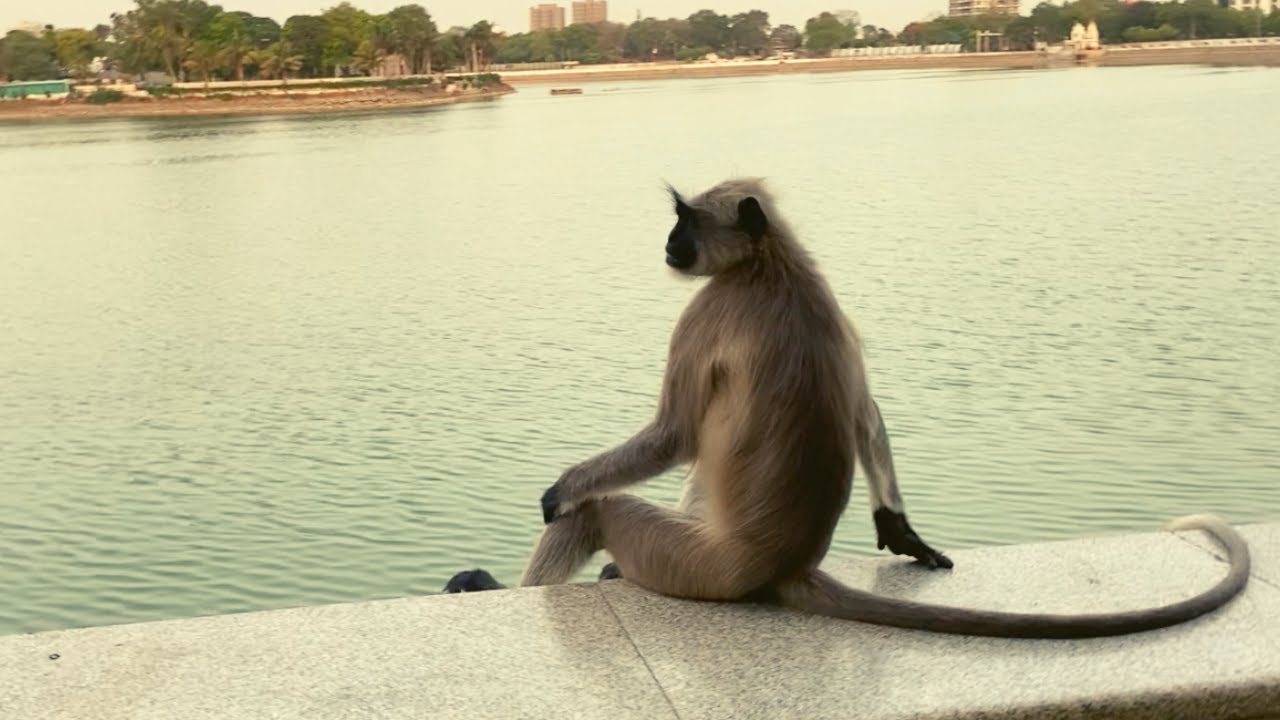 Ahmedabad | Gujarat | Part Two