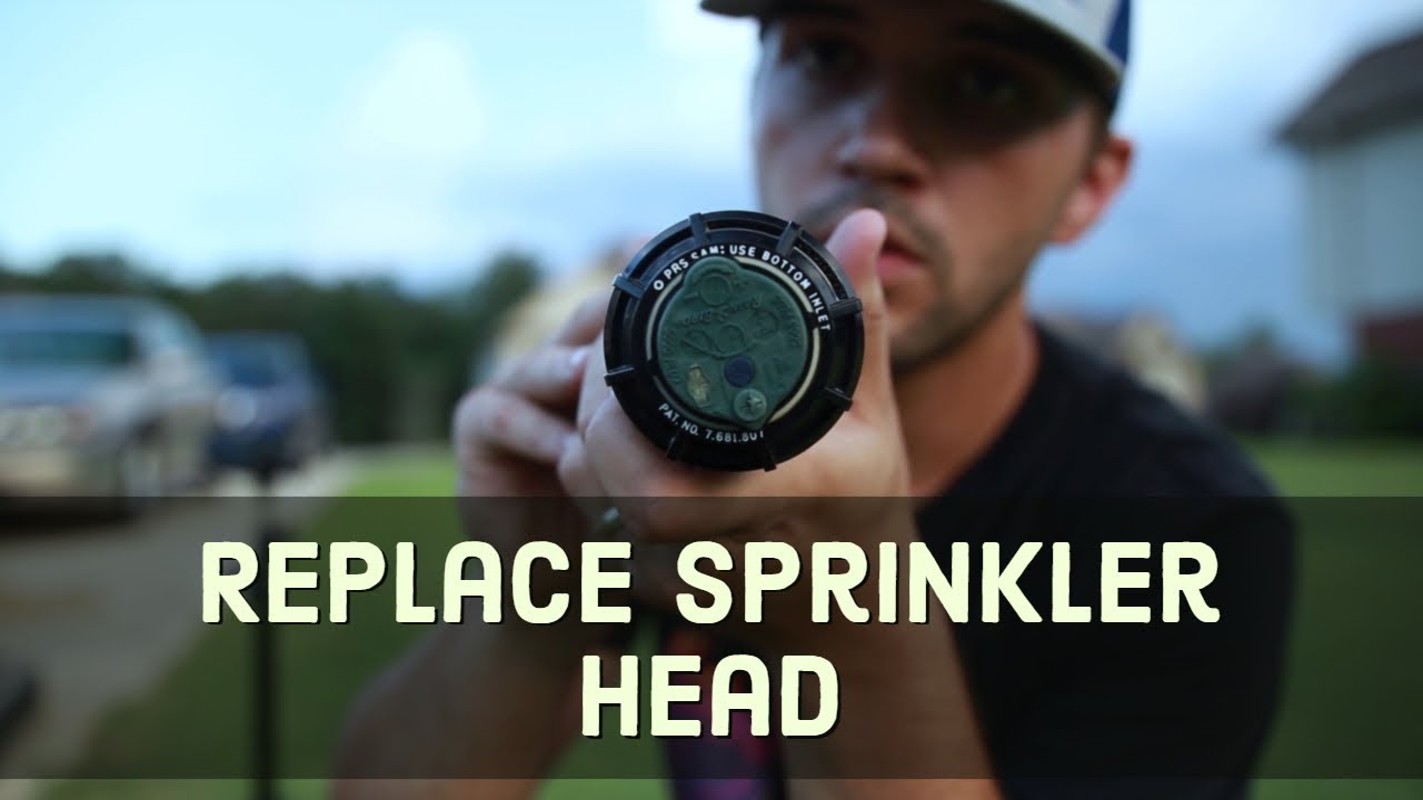 How to Replace Sprinkler Head YouTube
