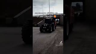 Ama Bu Böyle Olmaz Resimi