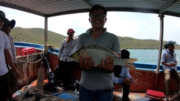 CÂU CÁ VỊNH VÂN PHONG KHÁNH HÒA 🎣 FISHING IN VAN PHONG BAY KHANH HOA🐟🐟