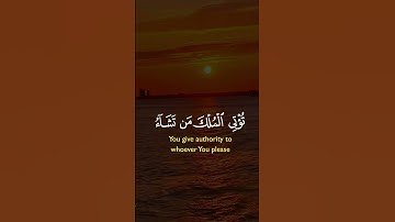 أكتب شيء تؤجر عليه ❤️😴.   #quran #المصحف #القرآن_الكريم #تلاوة
