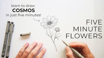 Five Minute Flowers ✿ Hoe teken je Cosmos | Leer bloemen tekenen!