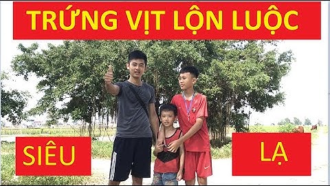 Tú Đầu Cắt Moi Ăn Mừng Kênh Youtube Đạt 100 Sub | Trứng Vịt Lộn Luộc Siêu Độc Lạ | Anh Tú Vlog