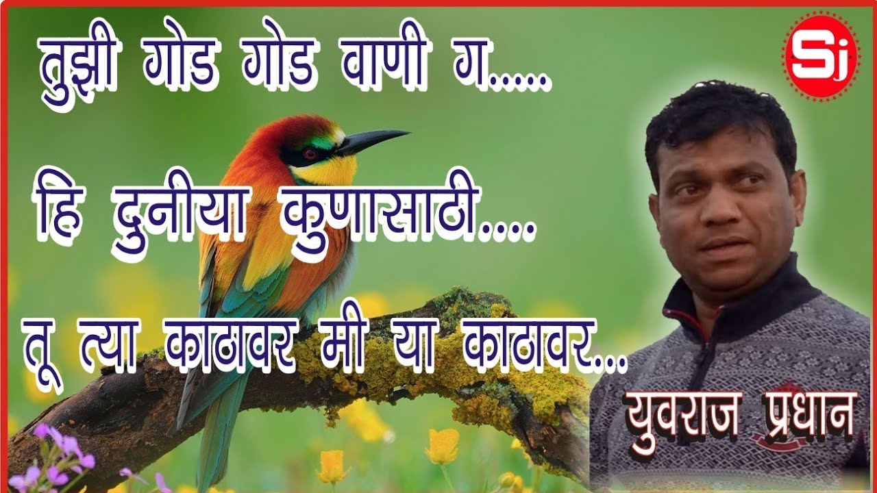 Zadipatti Yuvraj Pradhan Suprhit Song     sj sachinji