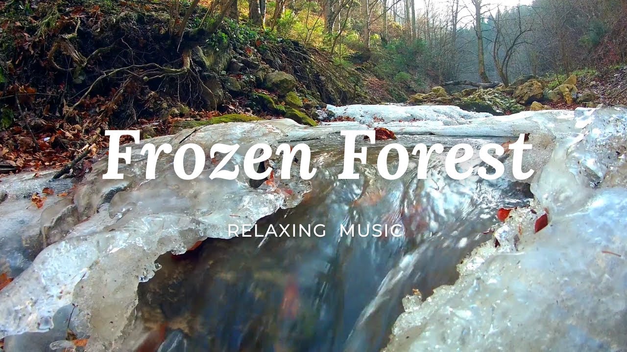 Frozen Forest - Relaxing Nature Sounds for Calming