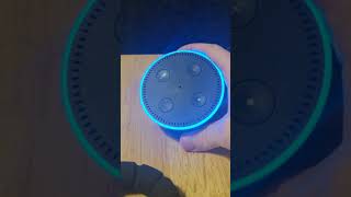 How to reset the Amazon Echo dot Gen 1&2