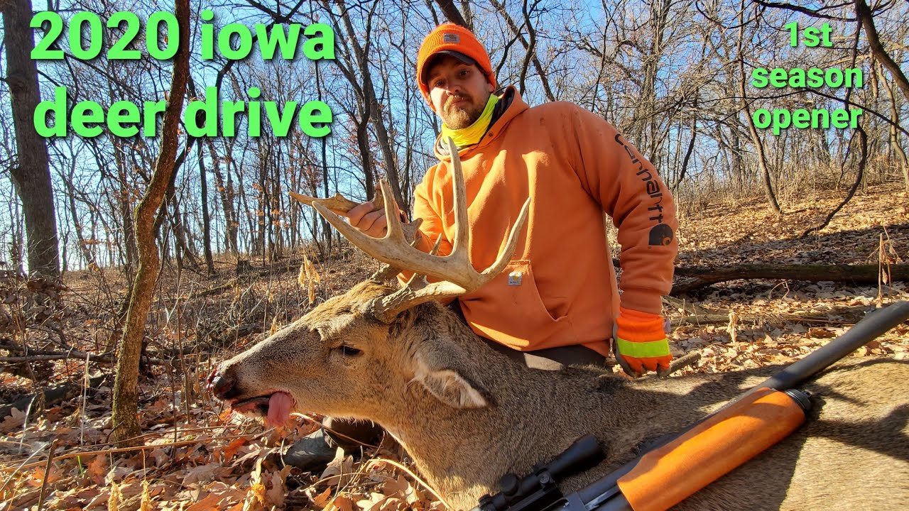 Iowa Oven Mitt – Doe A Deer