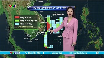 Bản tin thời tiết 9h10 - 09/10/2022 | Ngư trường cá ngừ 1 tuần tới | VTVWDB