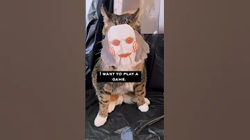 Orion the Cat Wants to Play A Game (Feline Film Parodies) #cutecat  #shorts #cat