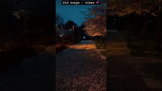 #Vancouver #BritishColumbia #Canada #reel #youtubevideo #youtubeshorts #shorts #viralvideo #trending
