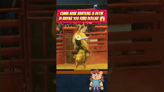 apaa? cuma naik banteng 8 detik di bayar 100rb dollar 😱 #shorts #koboi #banteng #faktamenarik