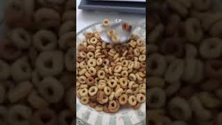 Multi-Grain Cheerios Review