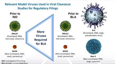 Introduction to Viral Safety Part 3 - Two Minute Tuesday Technical Training