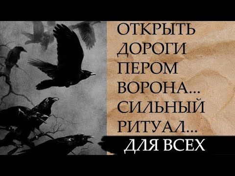 Дорогая перезвоню бар москва. Дорогая я пере. Прикольные автомобильные номера. Название кафе. Дорогая я пере.