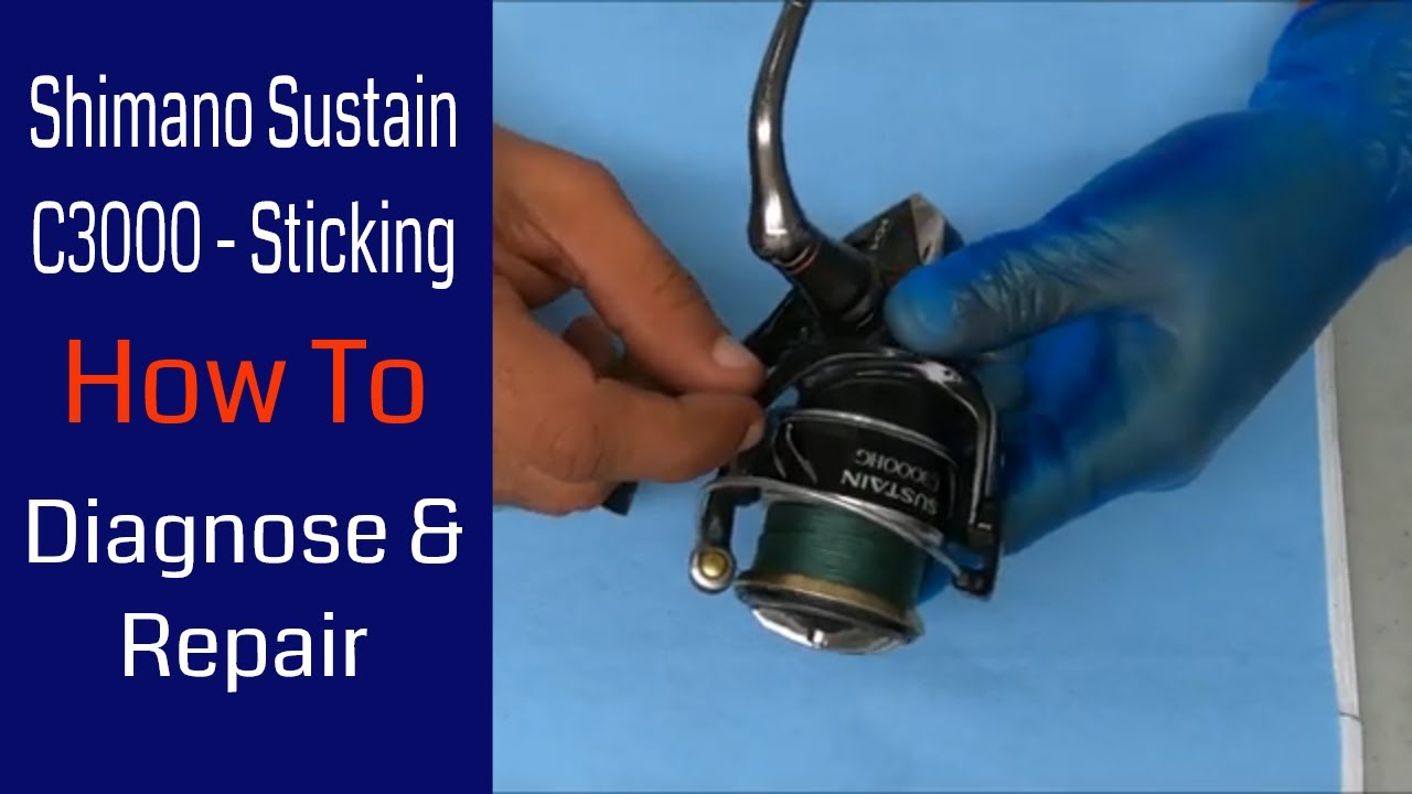 Shimano Sustain C3000HGFI Sticking While Cranking Fishing Reel Repair