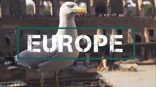 Interesting facts about Europe