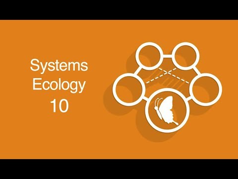 Ecological Networks