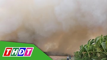 Cà Mau: Điều tra nguyên nhân cháy rừng ở Nông trường 402 | THDT