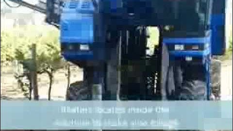 Grape Harvester in action