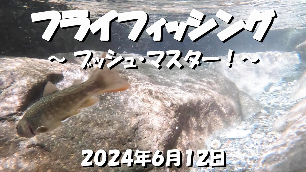 フライフィッシング ～ブッシュ・マスター！倒木だらけのやぶ沢を