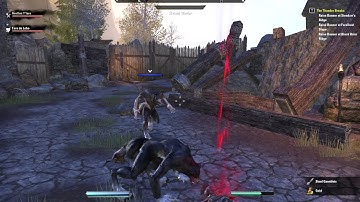 ESO: Weird WW animation bug x2