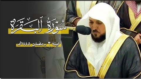 سورة البقرة | ۲٤٩ - ۲۷۱ | لفضيلة الشيخ د. ماهر المعيقلي | تراويح ليلة 3 رمضان ١٤٤٥هـ