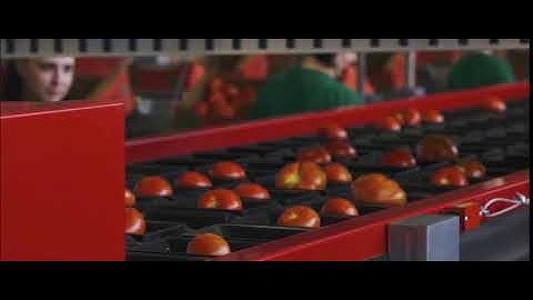 AWETA | Tomato grading machine