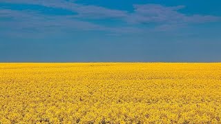 この世はすべて舞台（後編）